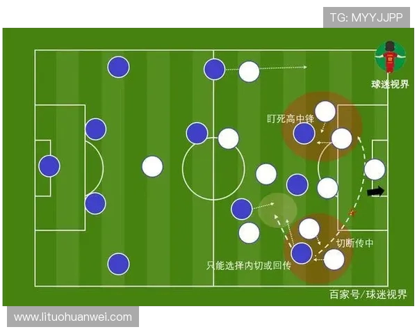 以Meiko辅助为核心解析团队配合与战术体系的全面升级 以Meiko辅助为核心解析团队配合与战术体系的全面升级