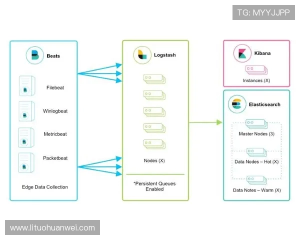 基于ElkADC架构的高效数据分析与处理系统研究与应用探索 基于ElkADC架构的高效数据分析与处理系统研究与应用探索
