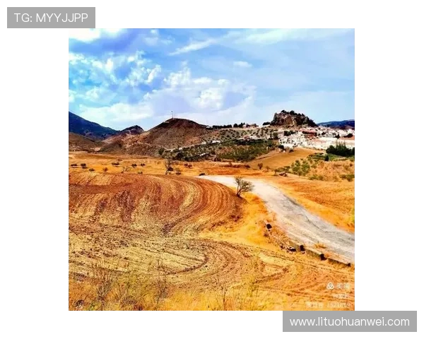 波尔图周边文化与历史探秘之旅：探索葡萄牙的古老魅力与现代风情