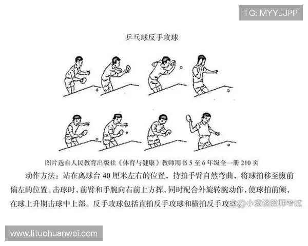 乒乓球运动的发展历程与技巧提升方法探析