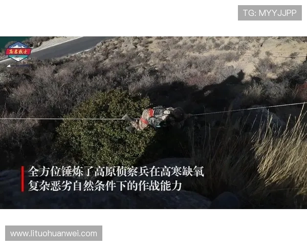 上海极限运动队的耐力挑战与极限运动的未来发展探讨